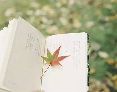 讀書，也是一種旅行——企業管理視角下的閱讀智慧