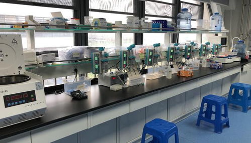 早篩創新與科技融合，天浚元生生物獲國高生物戰投，領跑教育科技軟件研發新賽道